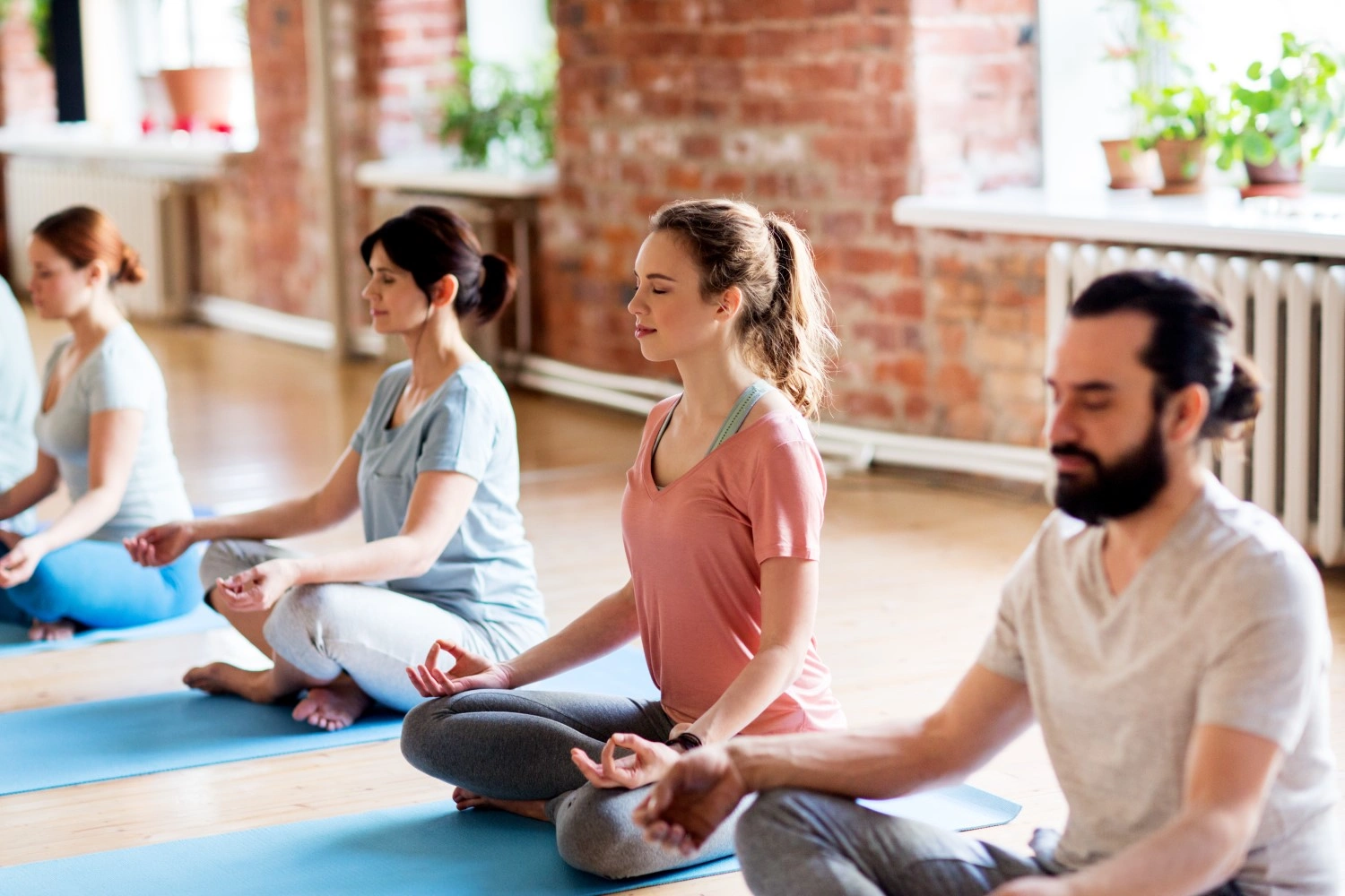 Somatic & Embodiment Coaching Financing